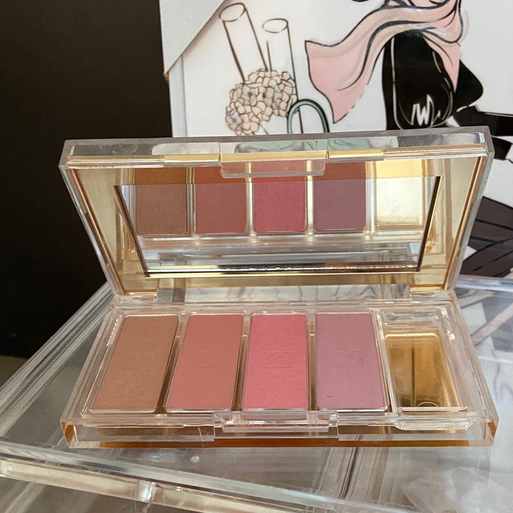 Estee Lauder Blush Palette with Pink and Brown Shades